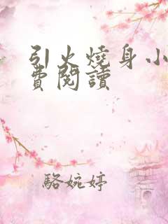 引火烧身小说免费阅读