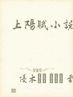 上阳赋小说