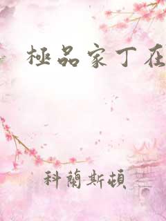 极品家丁在线看