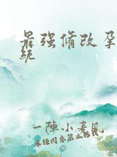 最强修改孕妇系统