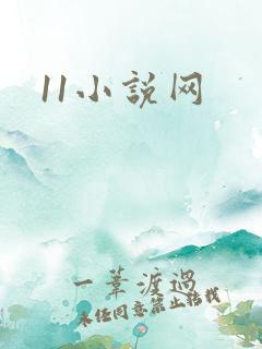 11小说网