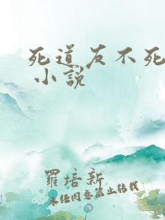 死道友不死贫道 小说