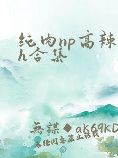 纯肉np高辣文h合集