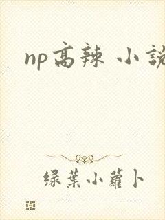 np高辣 小说