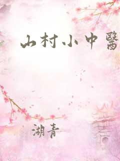 山村小中医