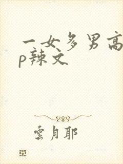 一女多男高hnp辣文