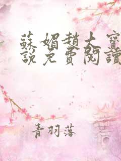 苏媚赵大宝的小说免费阅读全文