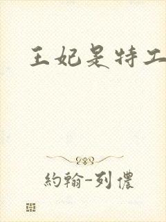 王妃是特工