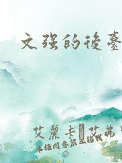 文强的后台