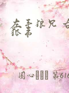 左手狼兄 右手狐弟