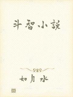 斗智小说