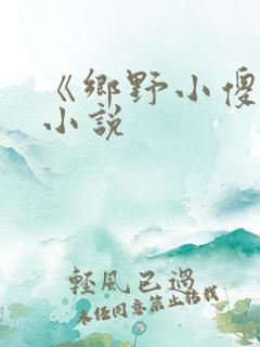 《乡野小傻医》小说