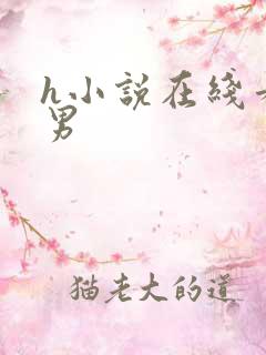 h小说在线看男男