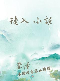 后入 小说