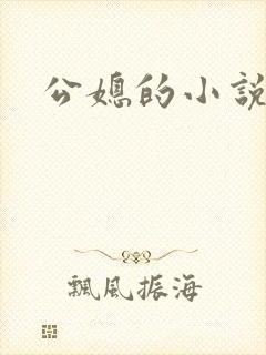 公媳的小说