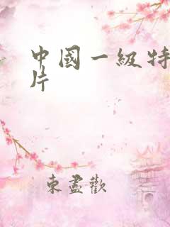 中国一级特黄大片