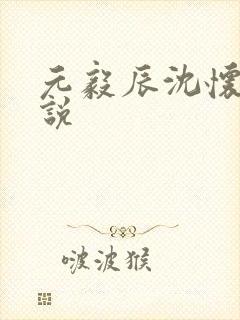 元毅辰沈怀妆小说