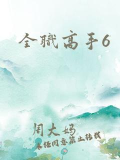 全职高手6