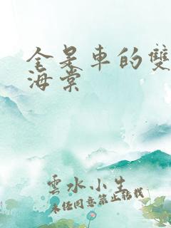全是车的双男主海棠