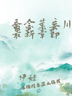 乔念叶妄川小说最新章节