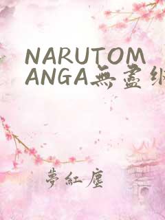 NARUTOMANGA无尽纲手