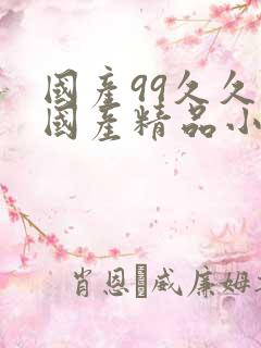 国产99久久久国产精品小说