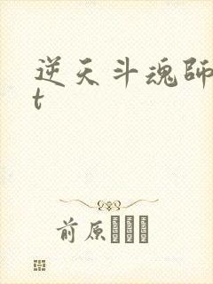 逆天斗魂师txt