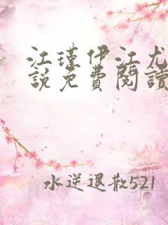 江瑾伊江尤皖小说免费阅读