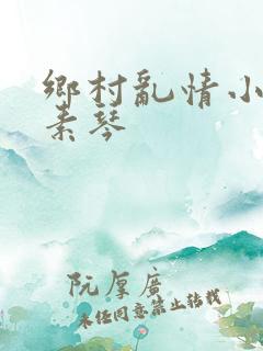 乡村乱情小雷与素琴