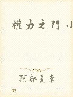 权力之门 小说