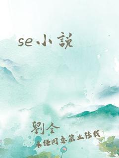 se小说