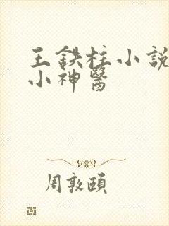 王铁柱小说乡村小神医