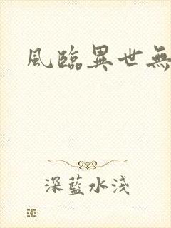 风临异世无弹窗