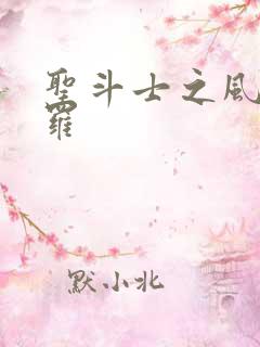 圣斗士之风舞娑罗