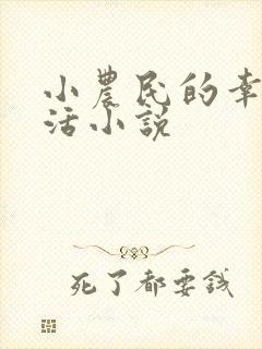 小农民的幸福生活小说