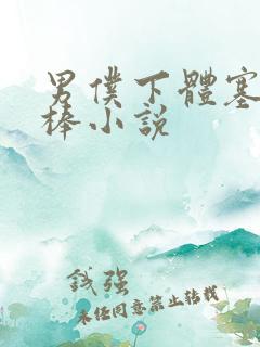 男仆下体塞震动棒小说
