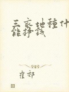 三亩地种什么好能挣钱