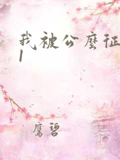 我被公么征服了1