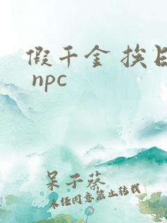 假千金 挨日记 npc