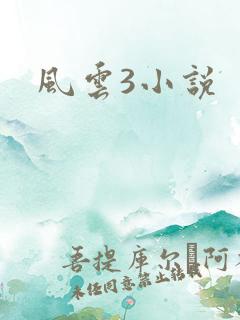 风云3小说