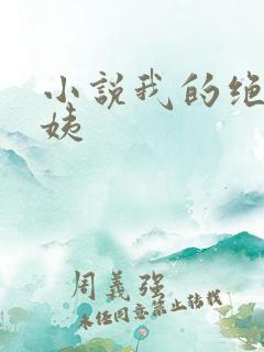 小说我的绝色小姨