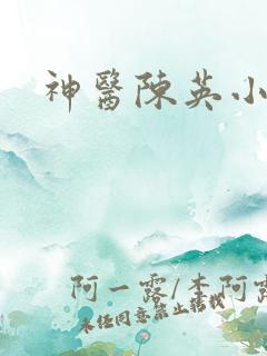 神医陈英小说