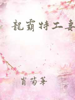 龙霸特工妻