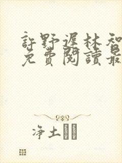 许野迟林智小说免费阅读最新章节