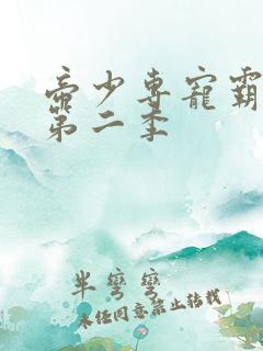帝少专宠霸道妻第二季