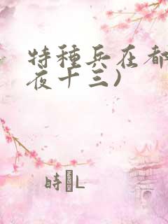 特种兵在都市(夜十三)