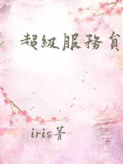 超级服务员