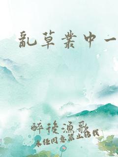 乱草丛中一杆枪