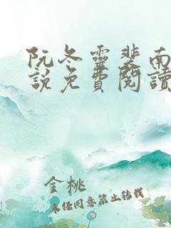 阮冬灵裴南曜小说免费阅读