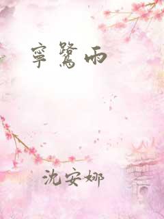 宁鹭雨